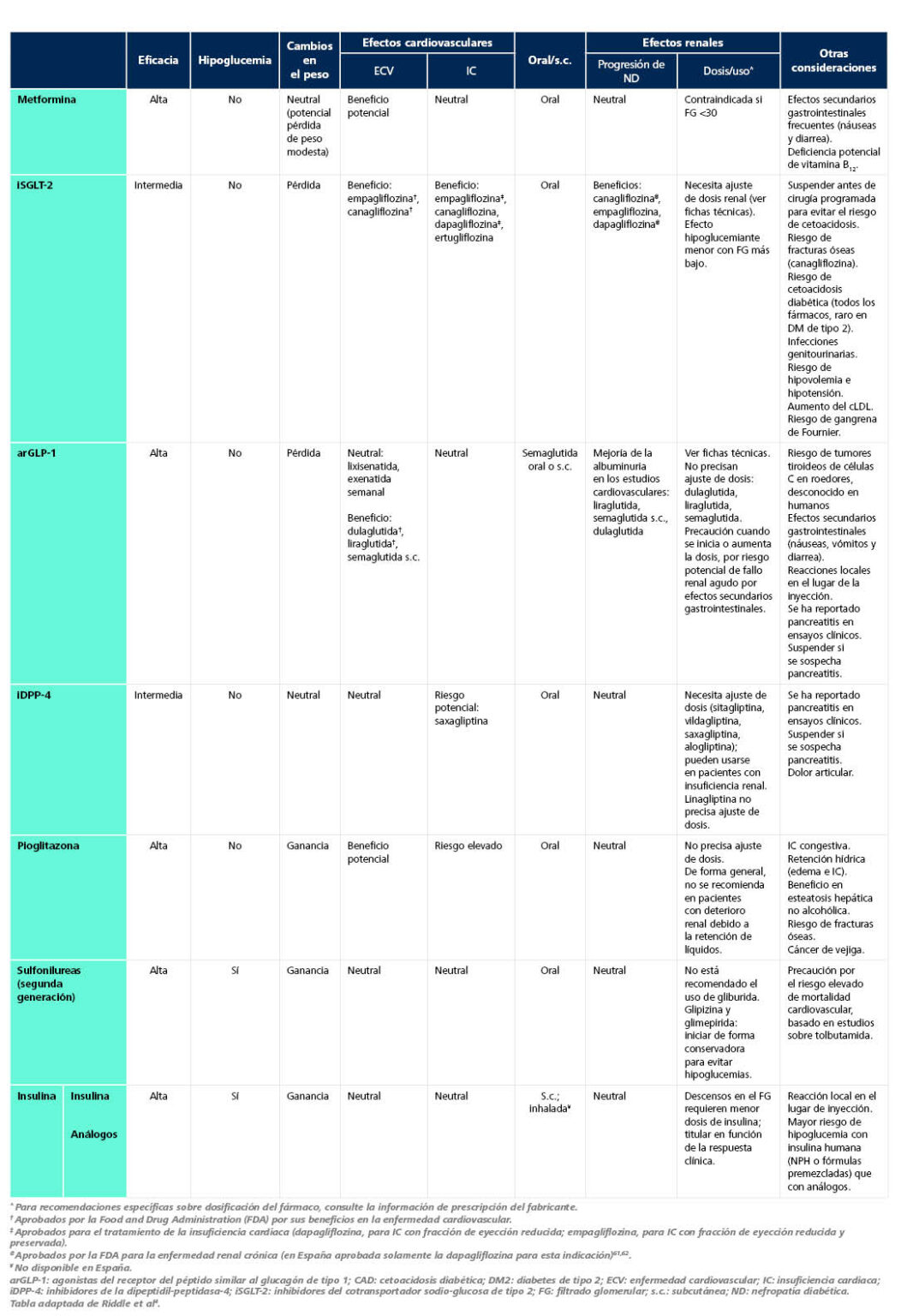 Todo Sobre… La Diabetes - Endocrinología